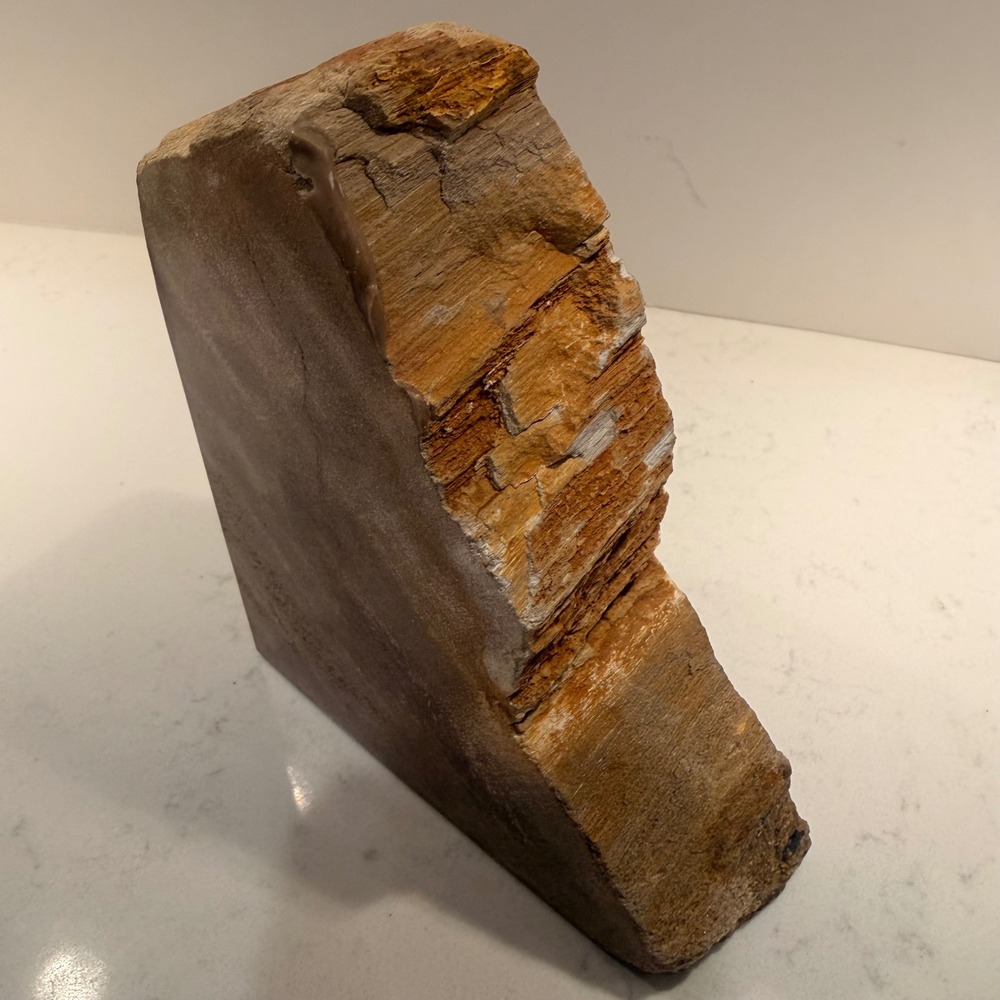 Petrified Wood Single Bookend from Indonesia Neutral Heavy Antique 6"x5"x2"